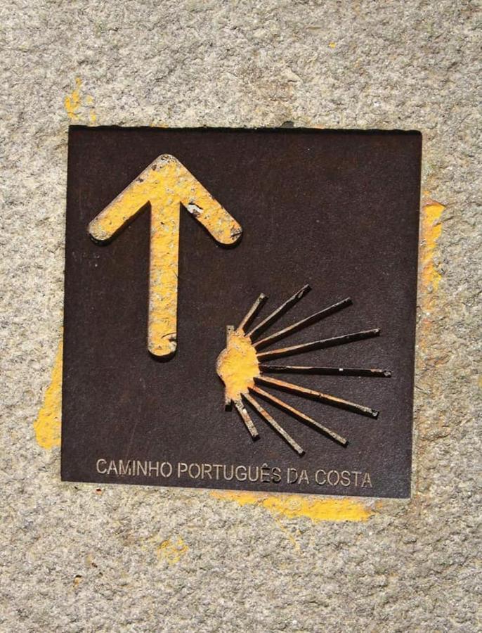 Suite Da Joaninha Caminha Bagian luar foto