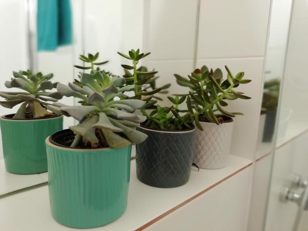Suite Da Joaninha Caminha Bagian luar foto